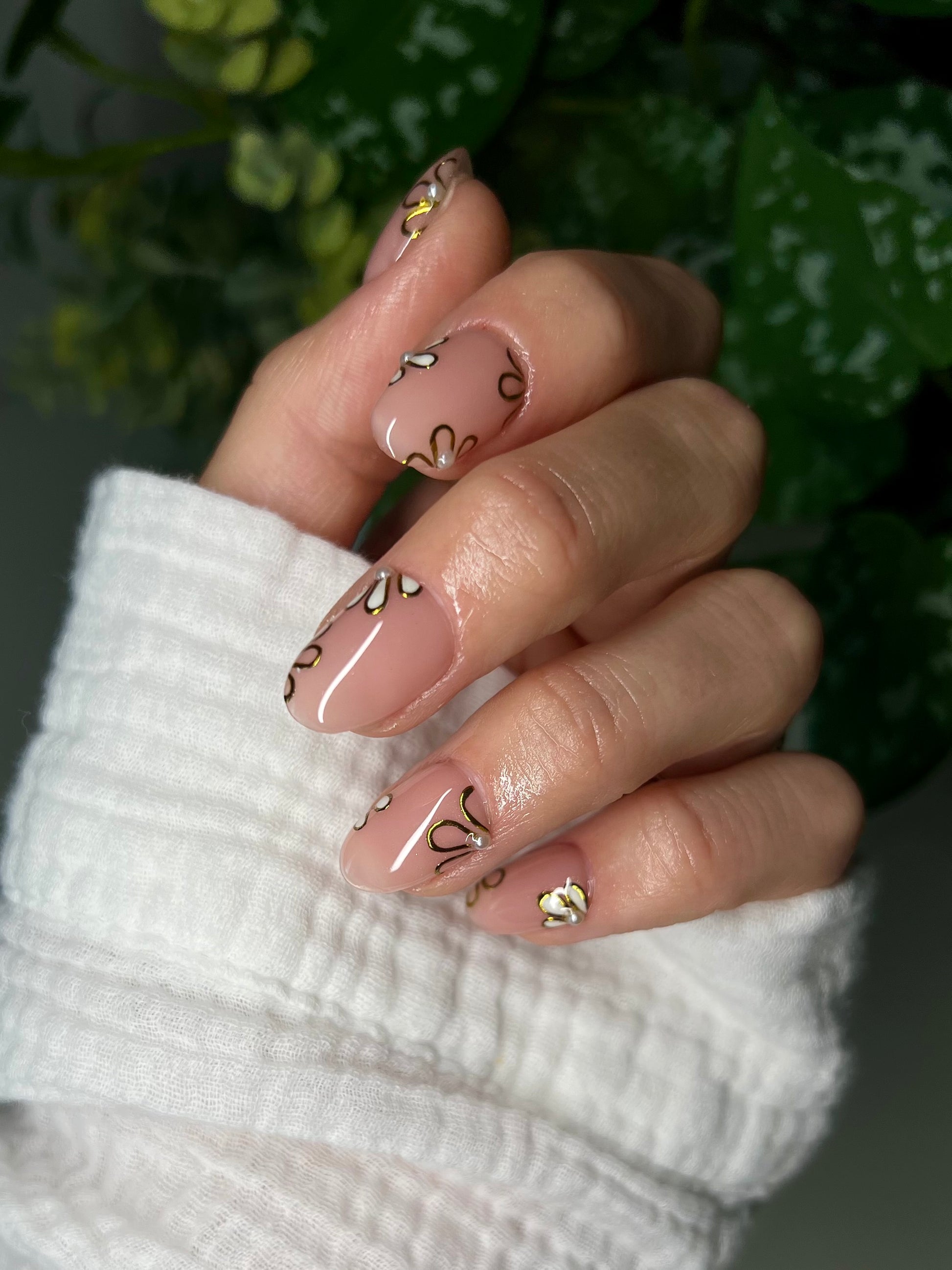 Daisy