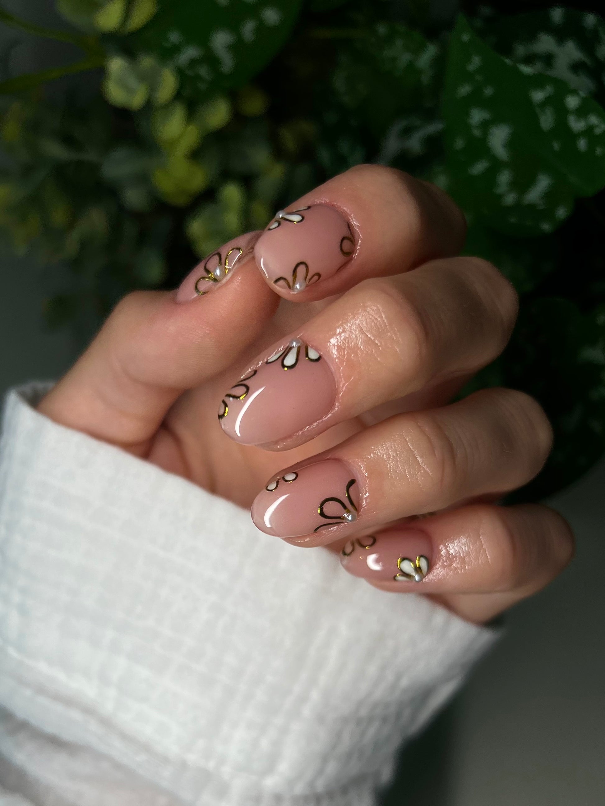 Daisy