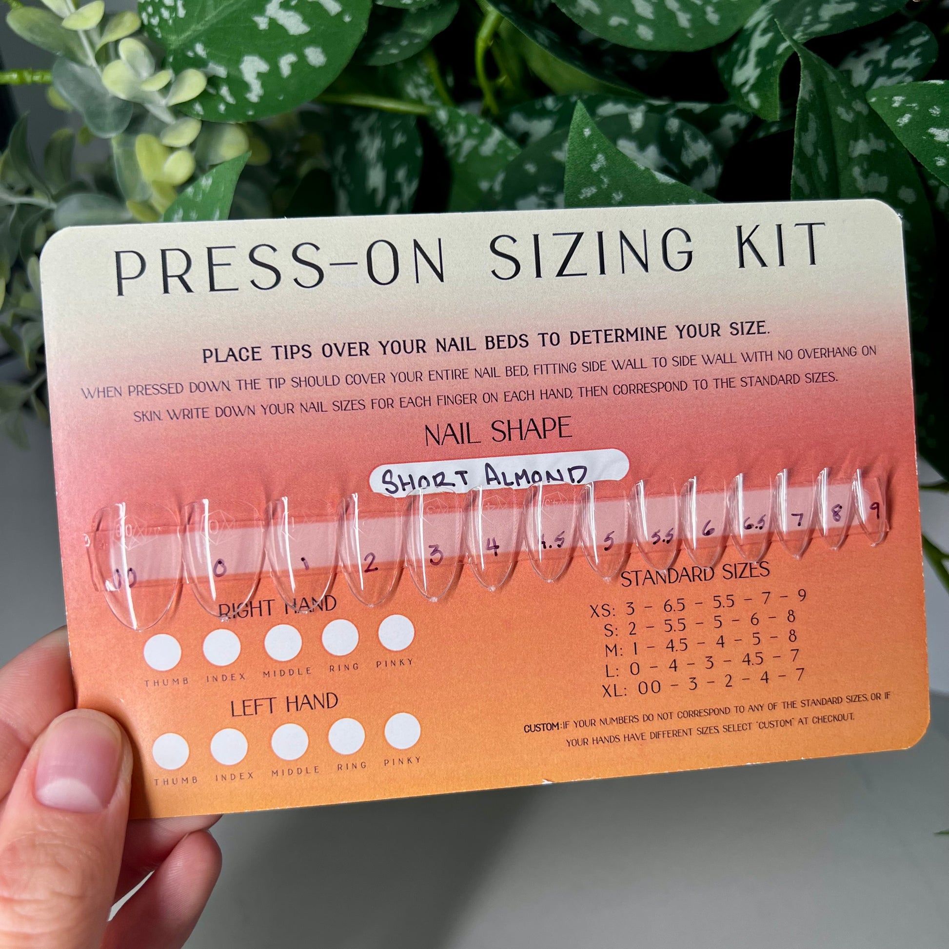 Sizing Kit